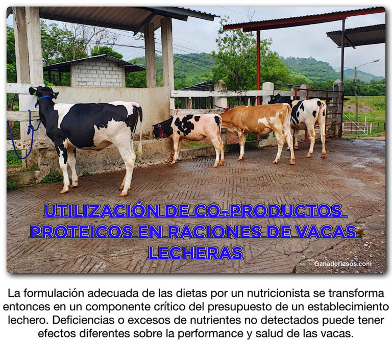 UTILIZACIÓN DE CO PRODUCTOS PROTEICOS EN RACIONES DE VACAS LECHERAS