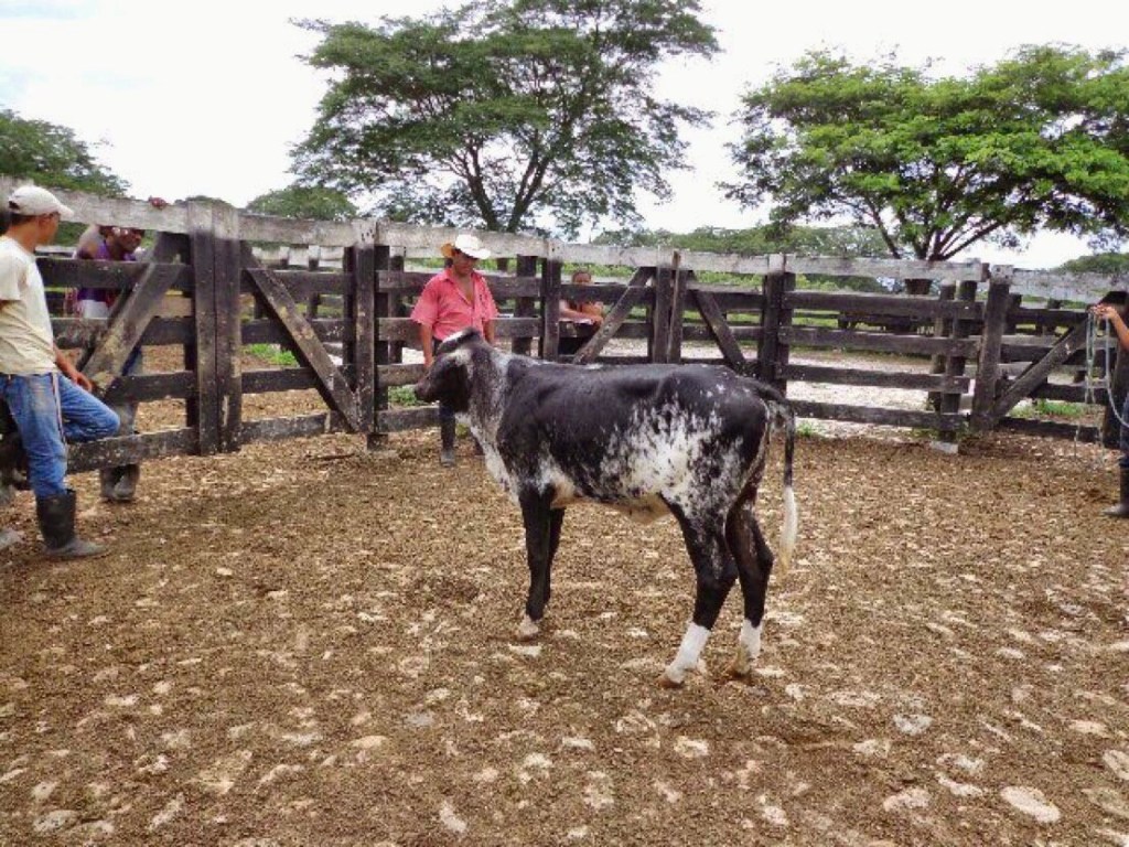 Processed with PICSPLAY