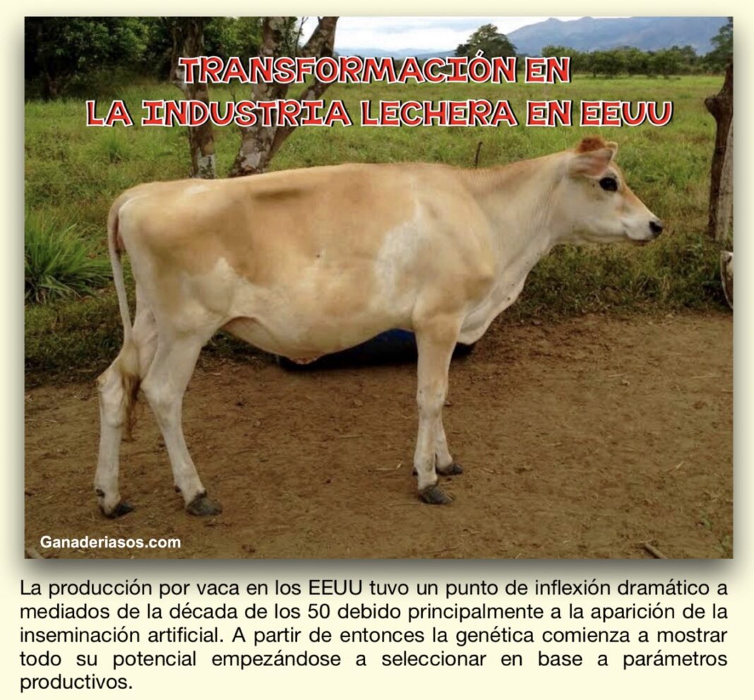 TransformaciÓn En La Industria Lechera En Eeuu Ganaderia Sos Solución Integral Ganadera 2352