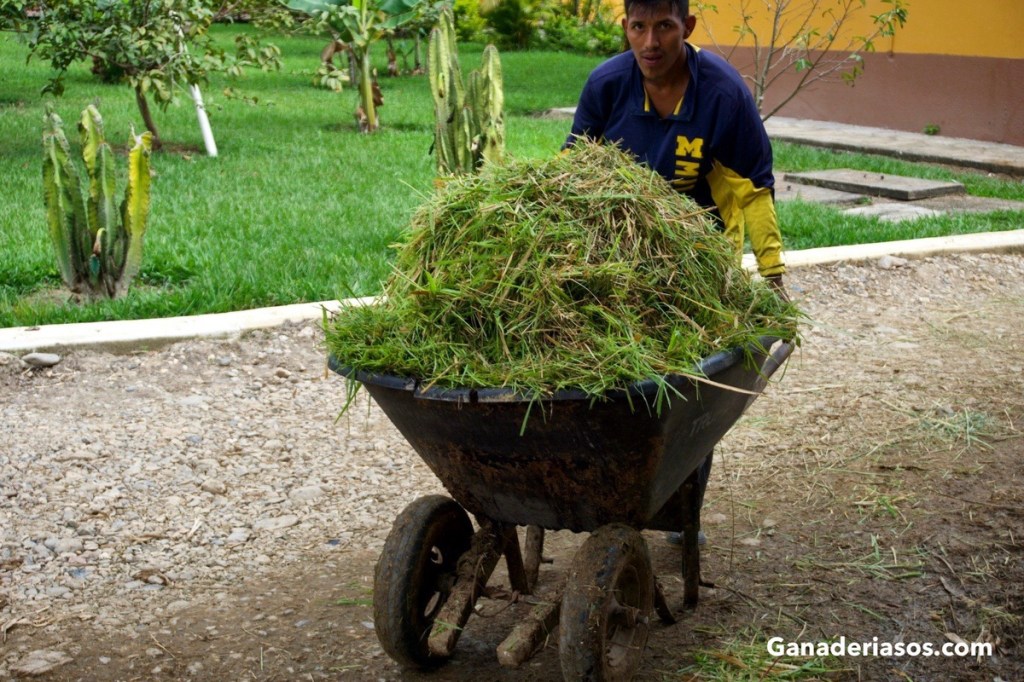 PENSAR BIEN Y VER: “DOS ASPECTOS DE GRAN VALÍA EN EL DESARROLLO DE LIDERAZGOS”