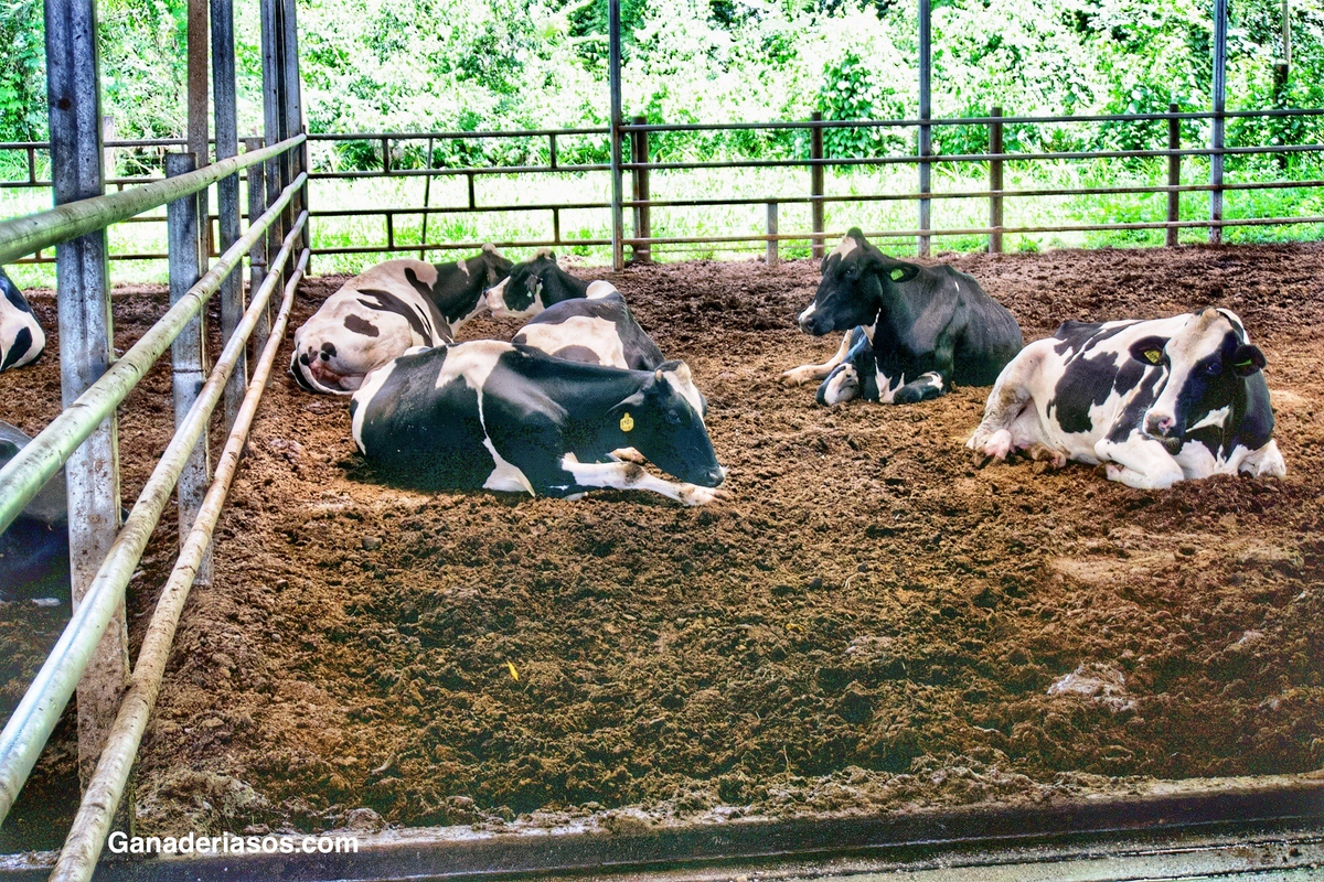 IMPORTANCIA DEL CONTROL DE PRODUCCIÓN EN LA GANADERÍA