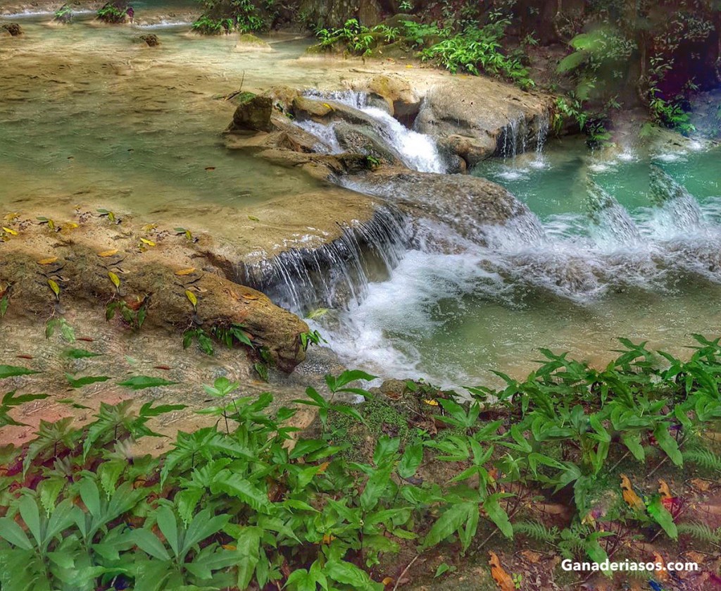INTERPRETACIÓN DE LOS ANÁLISIS DE AGUA DE BEBIDA PARA GANADO LECHERO
