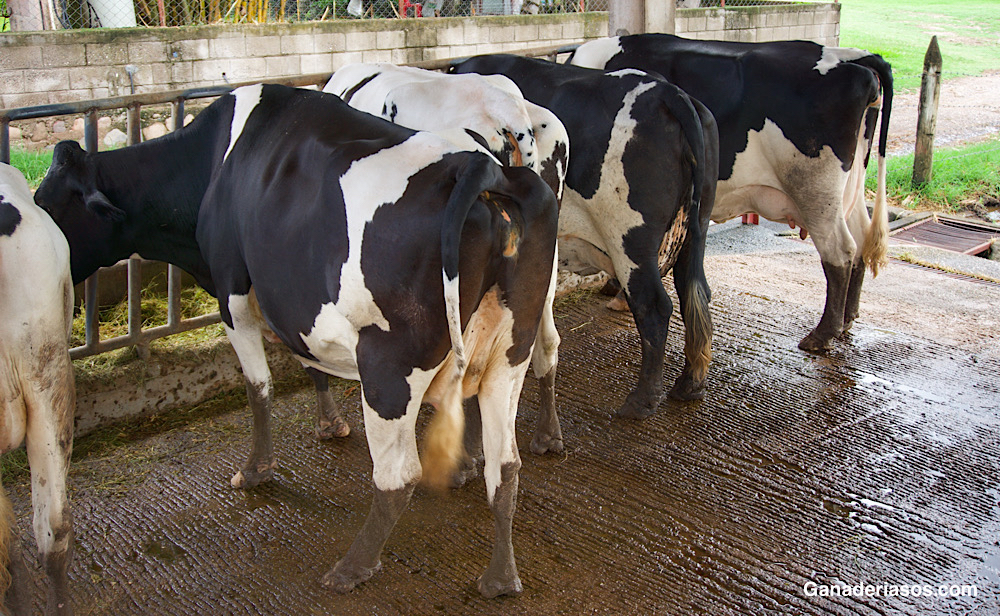 LA IMPORTANCIA DE LOS DETALLES EN EL MANEJO DEL&nbsp;SECADO