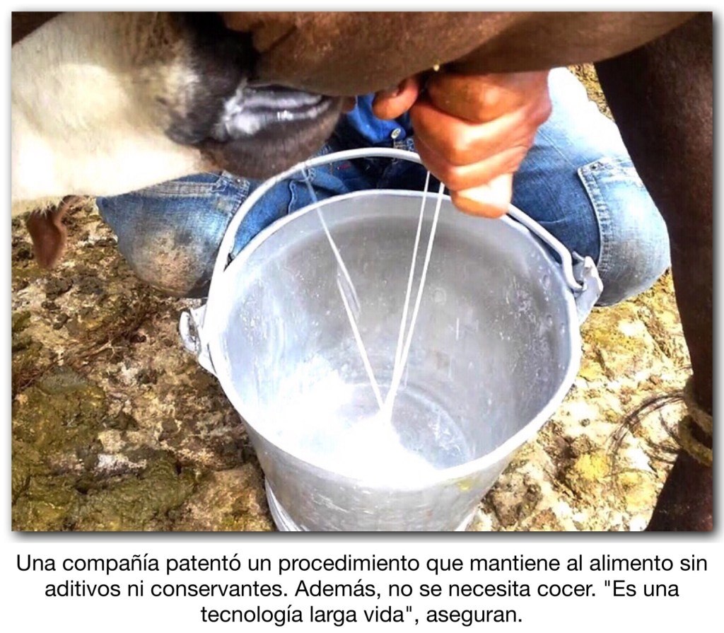 LECHE FRESCA POR DOS MESES SIN PASTEURIZACIÓN, EL MÉTODO AUSTRALIANO QUE REVOLUCIONA AL&nbsp;SECTOR