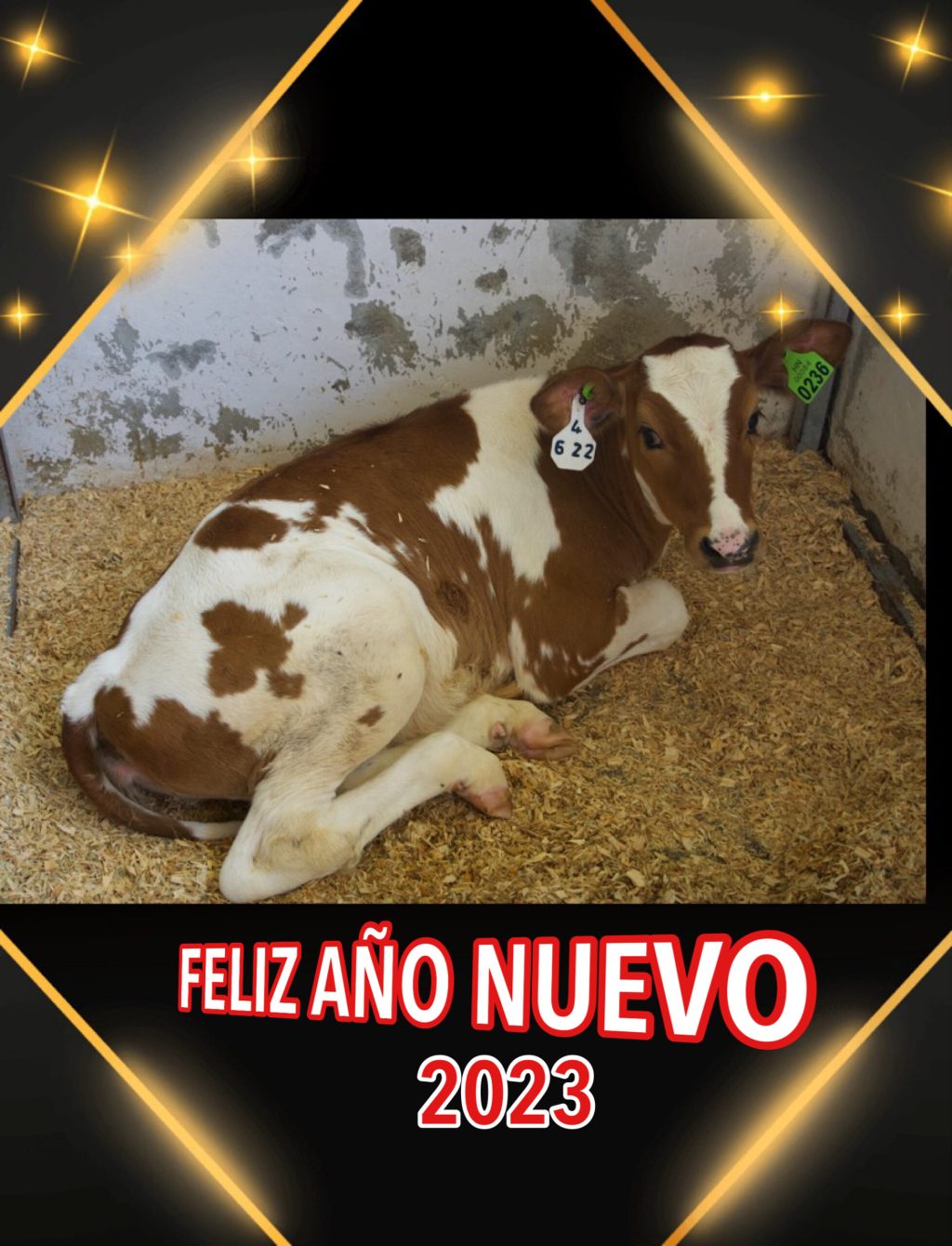 FELIZ AÑO NUEVO&nbsp;2023