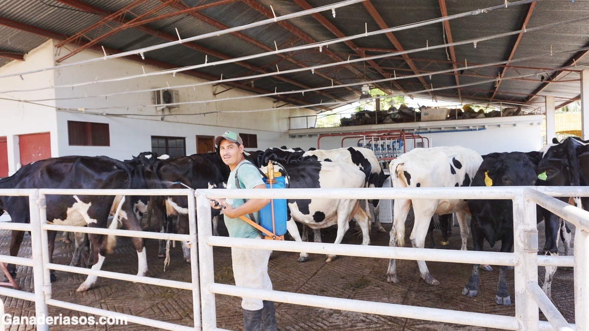 BIENESTAR DURANTE EL ORDEÑO