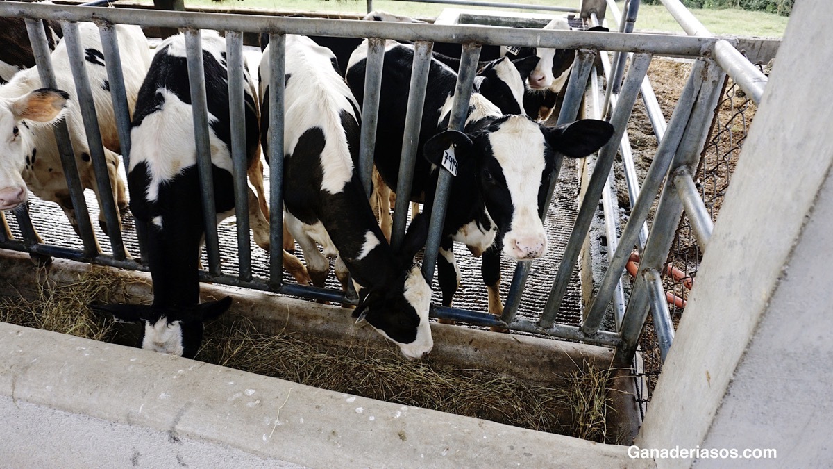 MIENTRAS MÁS SABES, MÁS PUEDES  CONTROLAR