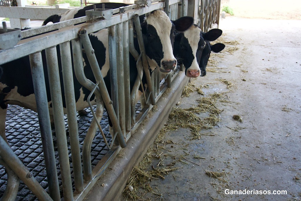 ¿DE DÓNDE SACAS LOS ANTIBIÓTICOS DE TU GRANJA?