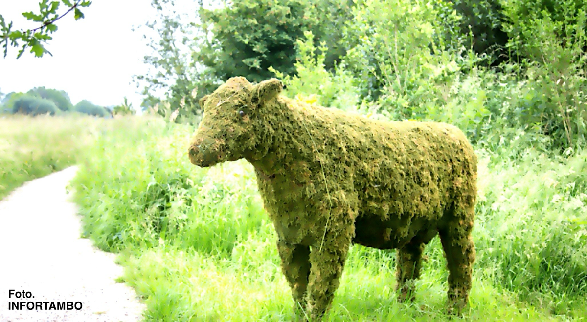 SUSTENTABILIDAD Y RENTABILIDAD: SALGAMOS DE LA DICOTOMÍA