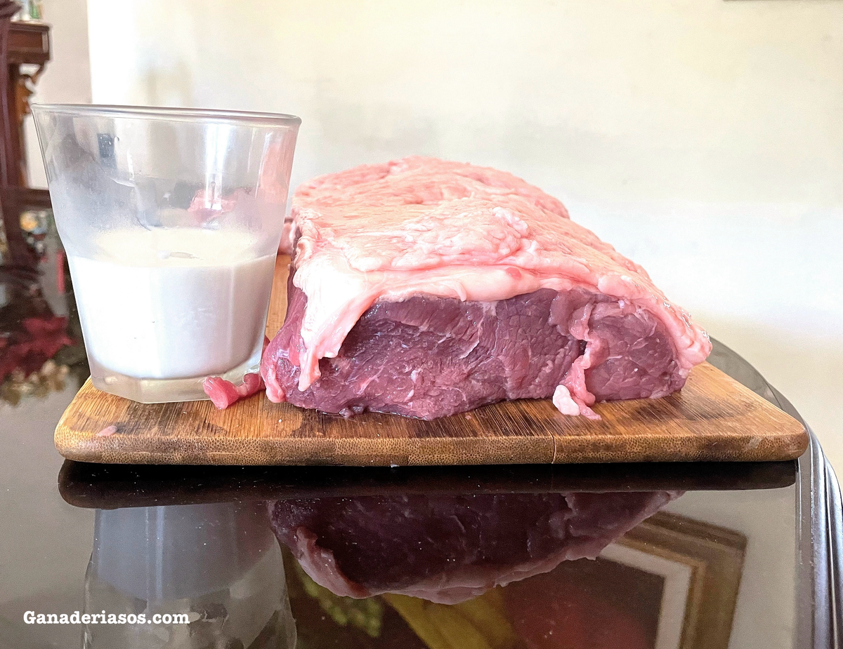 LA COP28 CONCLUYE SIN UN LLAMADO A LA REDUCCIÓN DE CONSUMO DE CARNE.