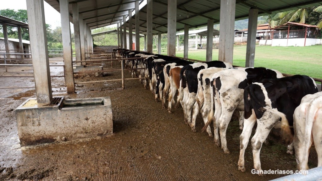 UN PROBLEMA DE&nbsp;VITAMINAS