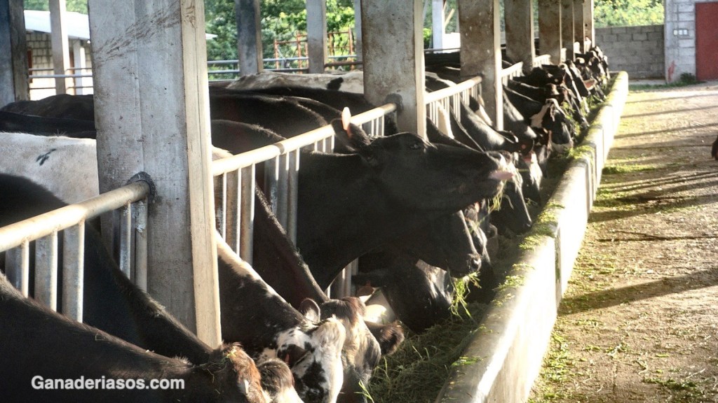 LOS ÍNDICES GENÉTICOS EN LOS PROGRAMAS DE&nbsp;APAREAMIENTO