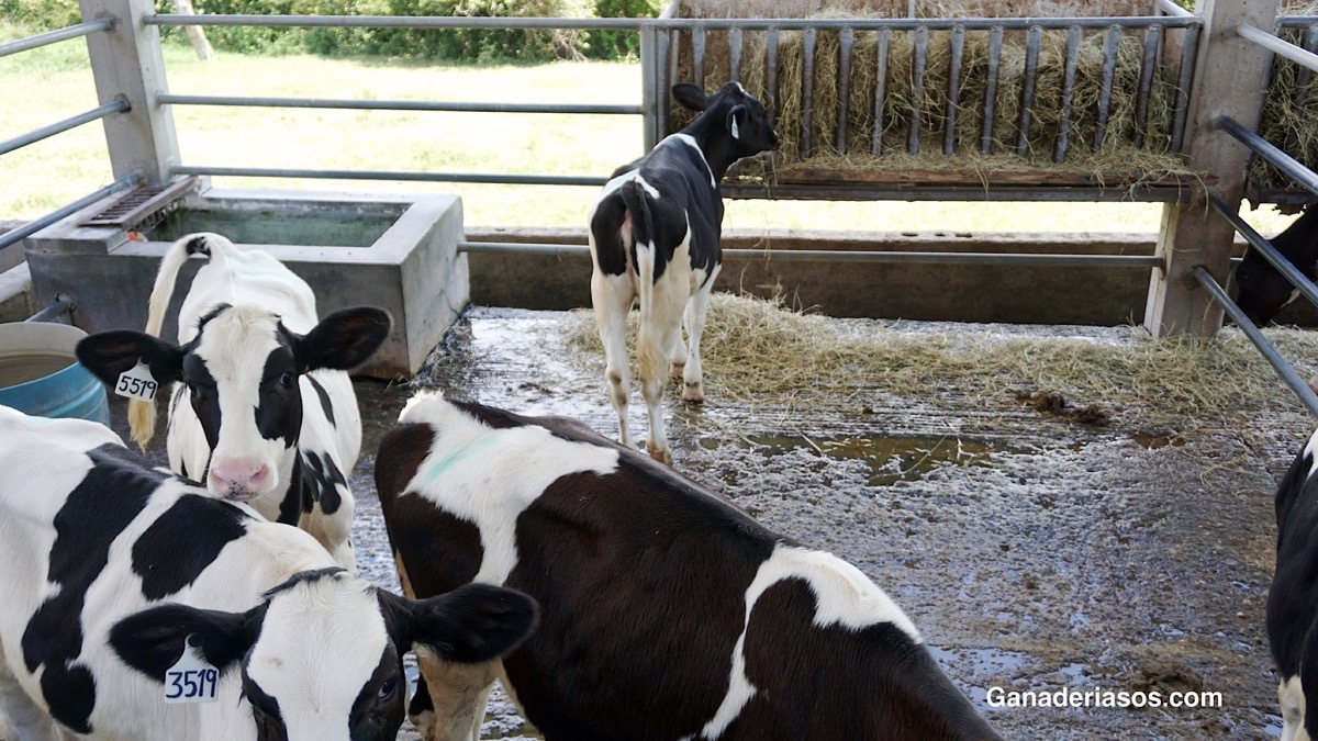 UNA MIRADA A LAS PRUEBAS GENÓMICAS Y FERTILIZACIÓN “IN VITRO”