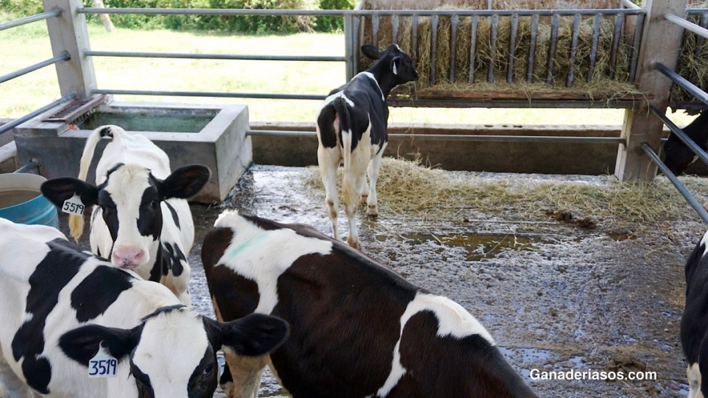 UNA MIRADA A LAS PRUEBAS GENÓMICAS Y FERTILIZACIÓN “IN VITRO”