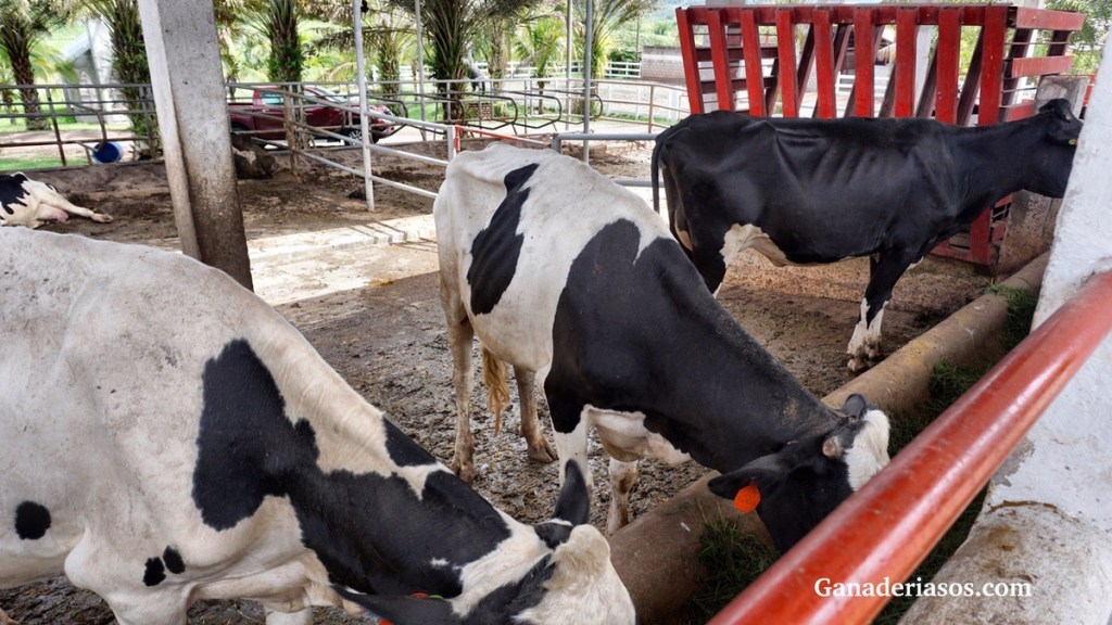 CINCO DESAFÍOS PARA EL ÉXITO DEL&nbsp;DCAD