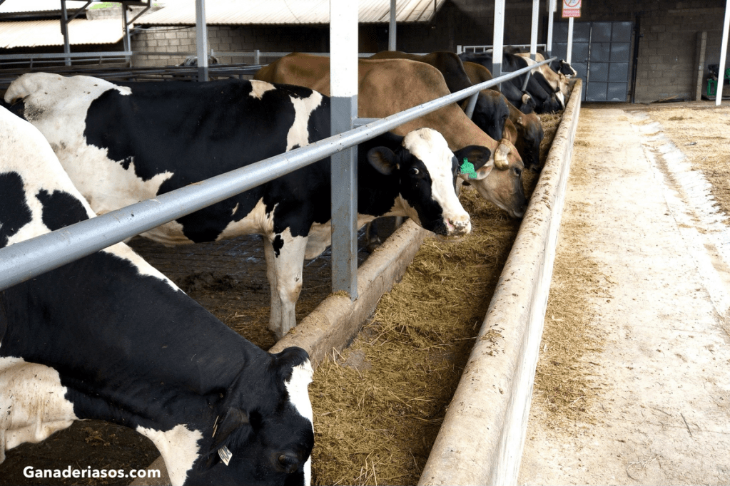 LA DILIGENCIA DE LA INDUSTRIA LÁCTEA ES RECOMPENSADA POR SUS ESFUERZOS EN EL CONTROL DE&nbsp;EMISIONES.