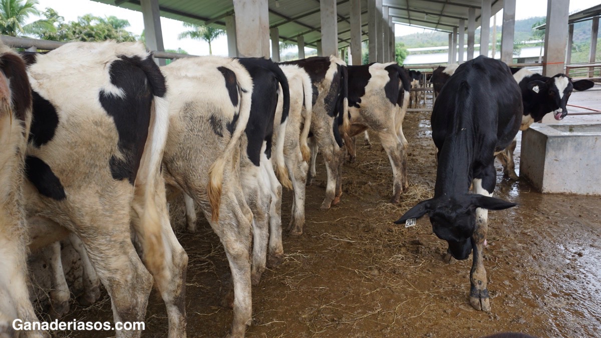 ¿MÉRITO NETO, TPI O ICO? ¿QUIZÁS MEJOR UN ÍNDICE CUSTOMIZADO?