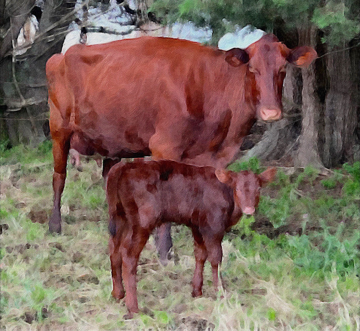 LA MEJORA DE CCS Y SALUD PRODUCTIVA DEL GANADO LECHERO