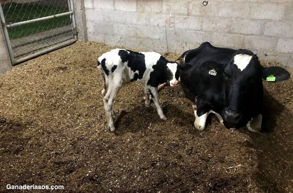 ¿SABÍA QUE USTED GERENCIA UNIDADES DE PRODUCCIÓN…?