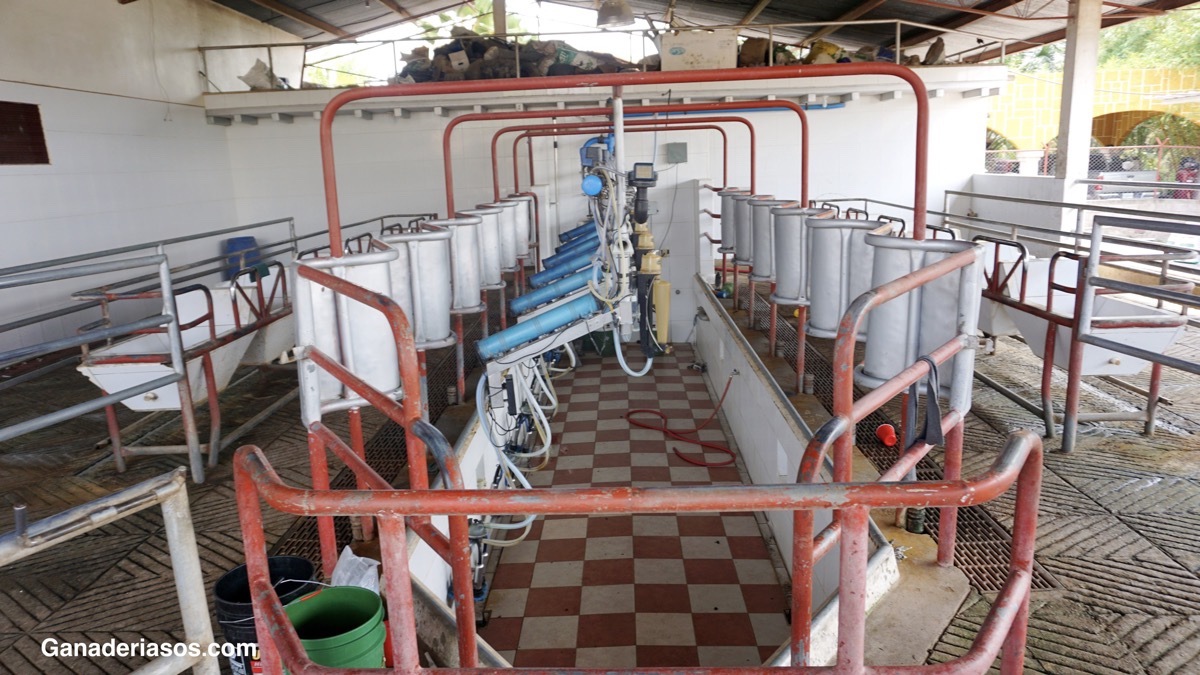 CONTROL DE CALIDAD: LOS BUENOS HÁBITOS PRODUCEN MEJOR LECHE