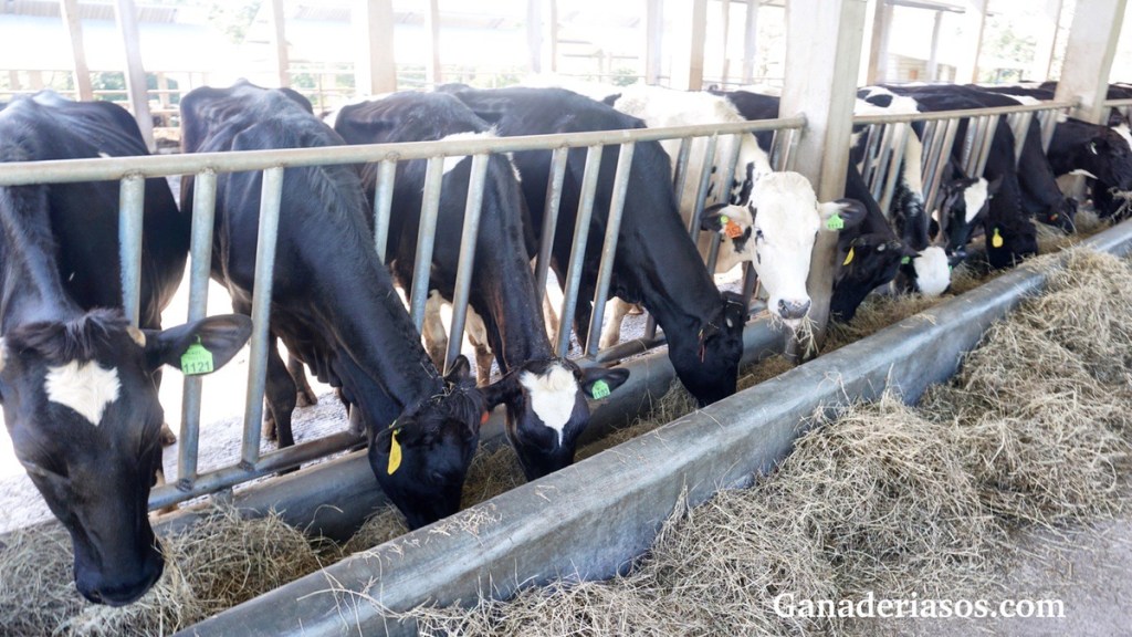 CAPACITACIÓN, MANEJO Y GERENCIAMIENTO EN&nbsp;TAMBO