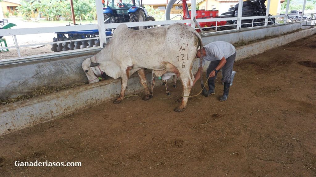 EL POSITIVO IMPACTO DE LAS MODIFICACIONES AL MODELO DE CORNELL (PARTE&nbsp;I)