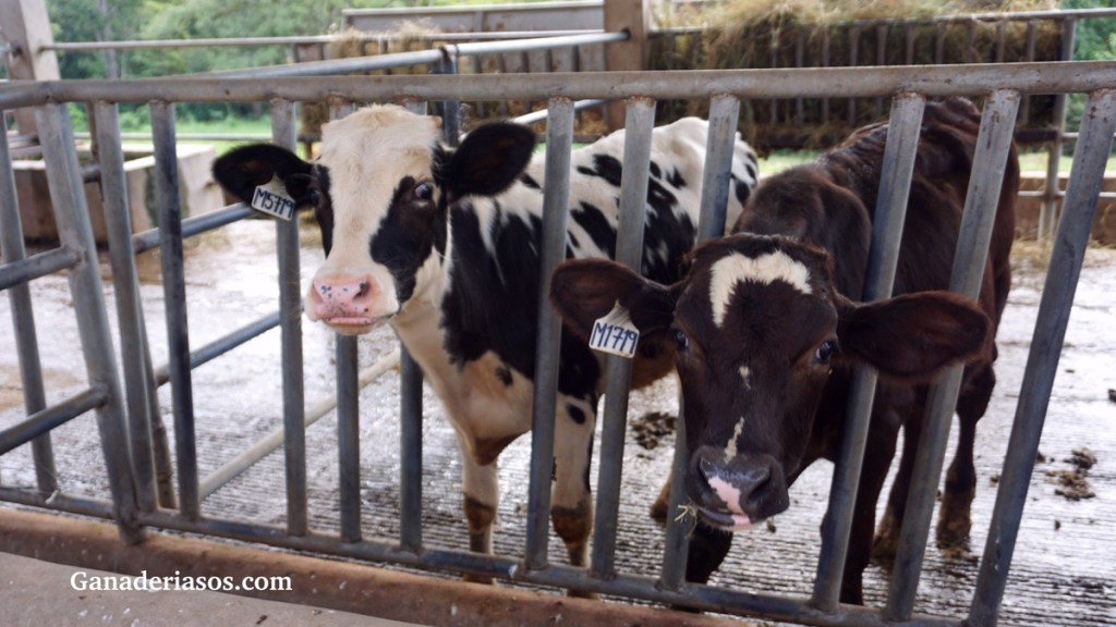 INGRESOS Y COSTES OCULTOS EN LA GESTIÓN&nbsp;ECONÓMICA