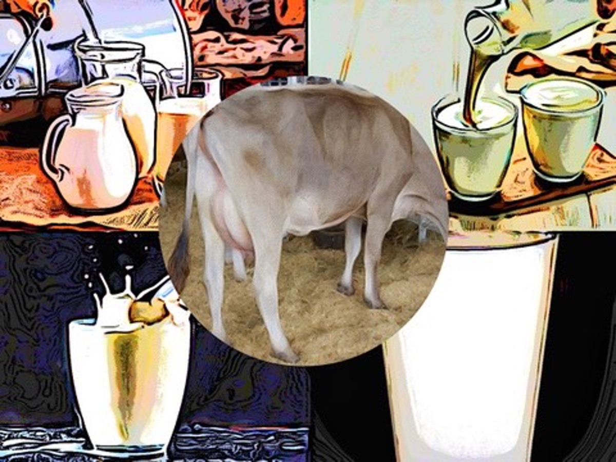 SEGUIMIENTO DE LOS PRECIOS DE LA LECHE Y LOS COSTES DE ALIMENTACIÓN