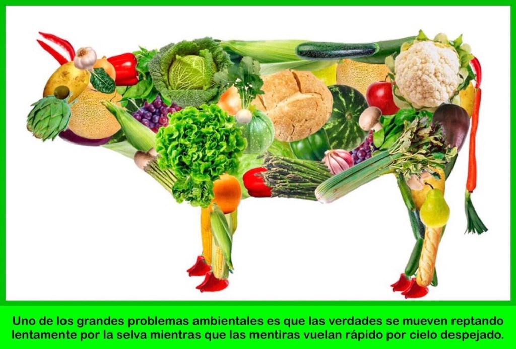LA CONFUSIÓN DEL&nbsp;VEGANISMO