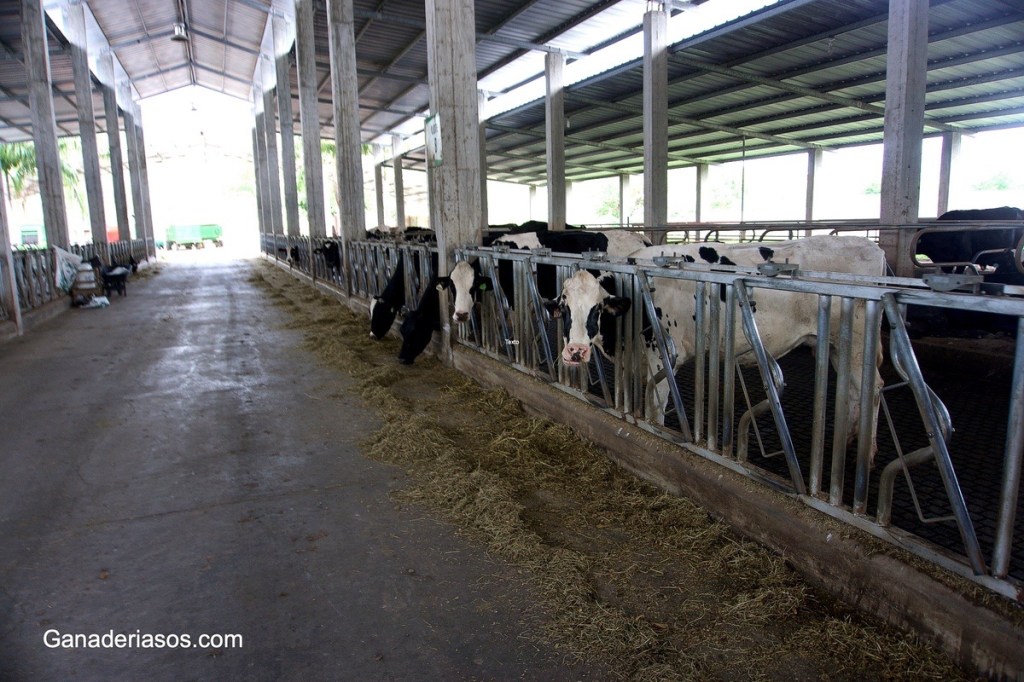 LOS SÍ DE LA&nbsp;NUTRICIÓN