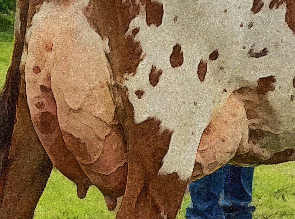 FISIOPATOLOGÍA DE LAS MASTITIS: MASTITIS E&nbsp;INFLAMACIÓN