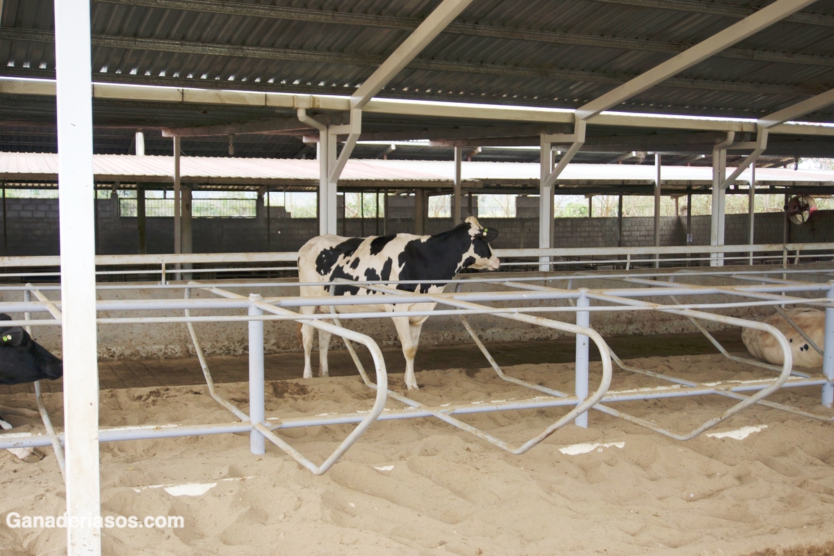 INSTALACIONES Y BIENESTAR ANIMAL. UN MÉTODO PARA LA AUTOEVALUACIÓN