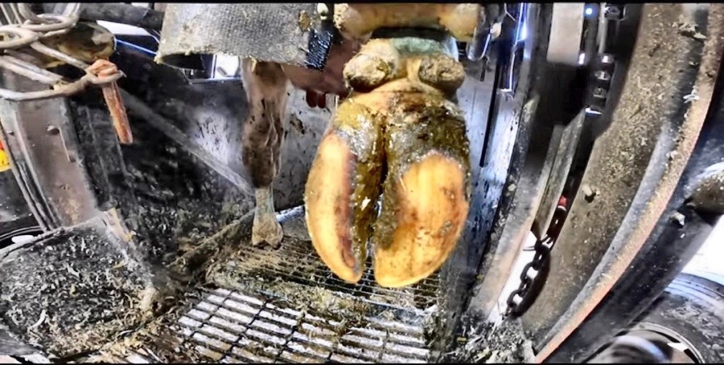 APLICACIÓN DE CONCEPTOS MÉDICOS GENERALES DE PREVENCIÓN EN SALUD PODAL EN TRES&nbsp;NIVELES