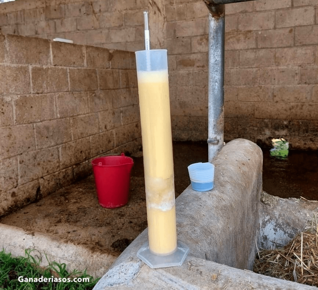 MEDICIÓN DE LA TRANSFERENCIA PASIVA DE INMUNIDAD EN&nbsp;TERNEROS…