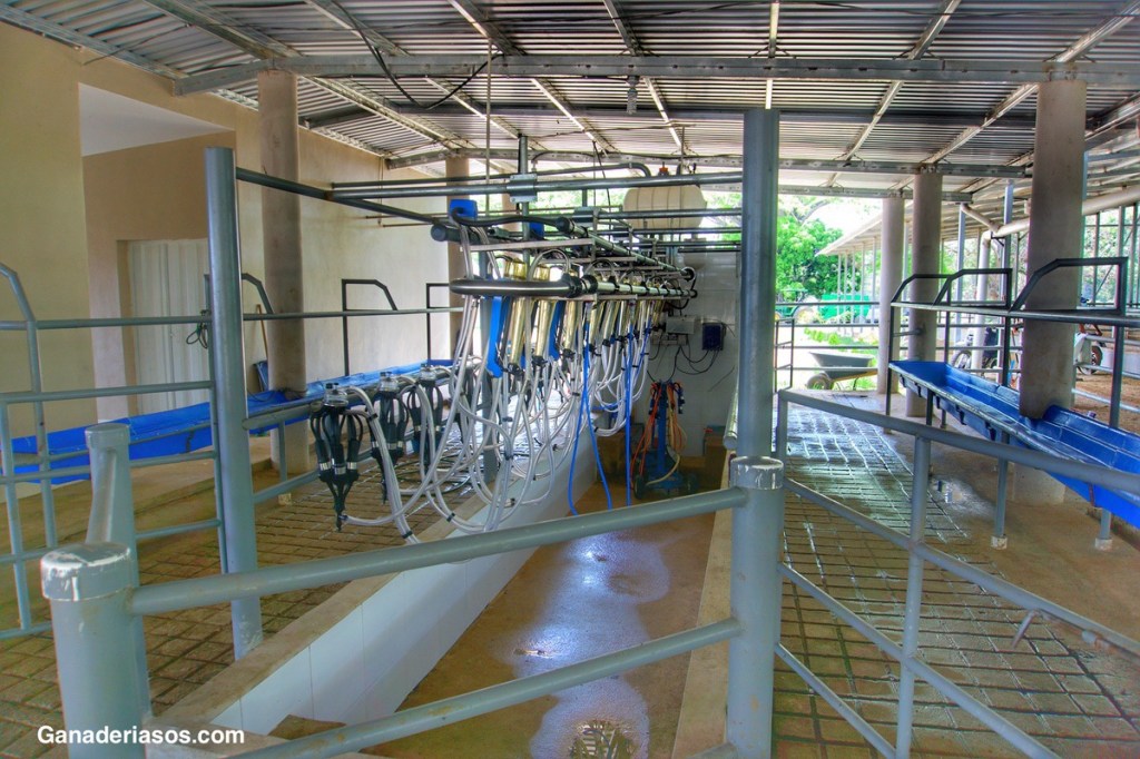 EL SISTEMA DE PULSACIÓN: CLAVES EN LA MÁQUINA DE&nbsp;ORDEÑO