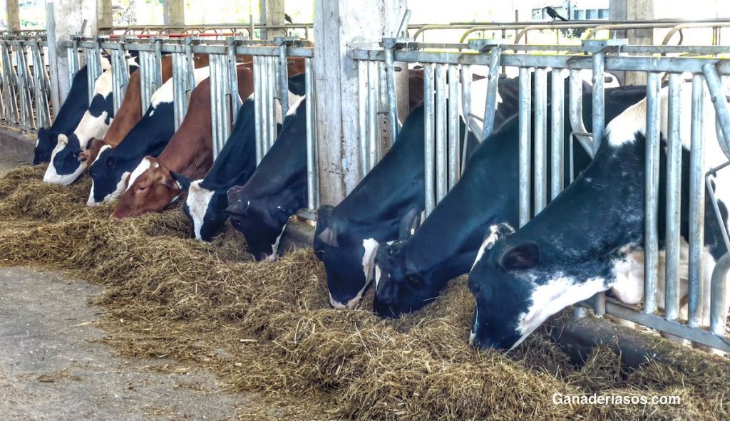 UN PROBLEMA LLAMADO RETENCIÓN DE PLACENTA: CLAVES PARA HACERLE&nbsp;FRENTE