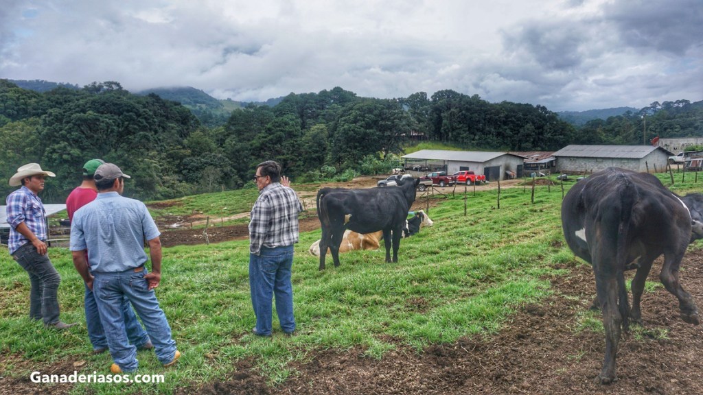 LA IMPORTANCIA DE LA FORMACIÓN DE LA MANO DE OBRA EN LAS GRANJAS&nbsp;LECHERAS