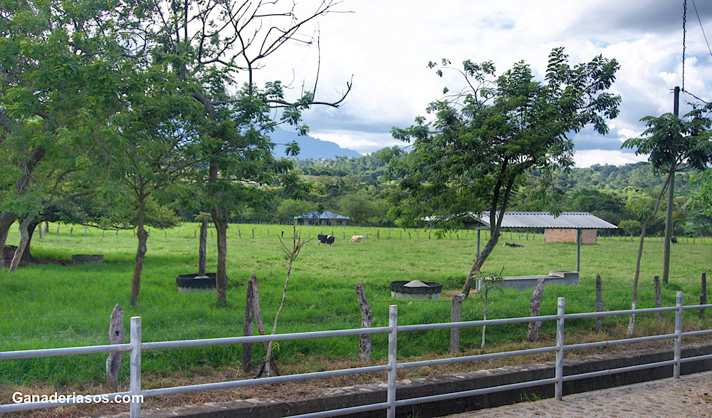 BUENOS TIEMPOS PARA LOS PRODUCTORES QUE ESTÉN EN AGRICULTURA Y GANADERÍA ECOLÓGICA