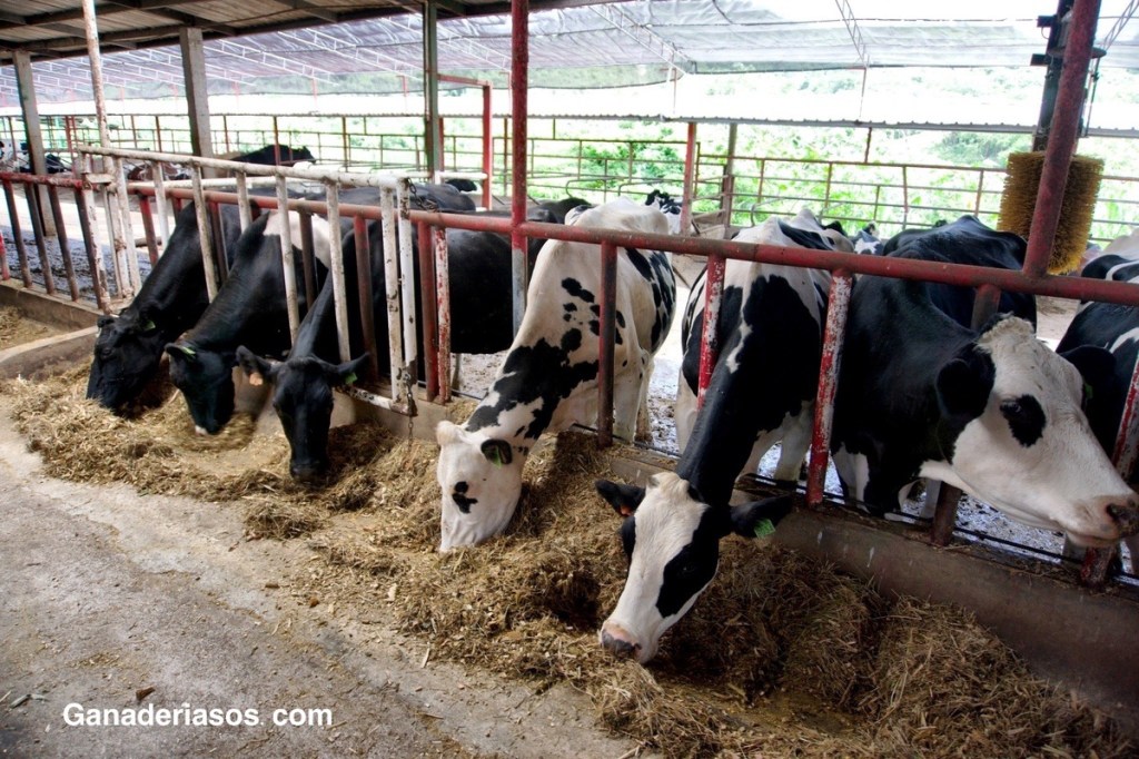 CINCO CONSEJOS PARA QUE LA FORMACIÓN Y LA RETENCIÓN DE LOS EMPLEADOS SEA MÁS&nbsp;EFICAZ