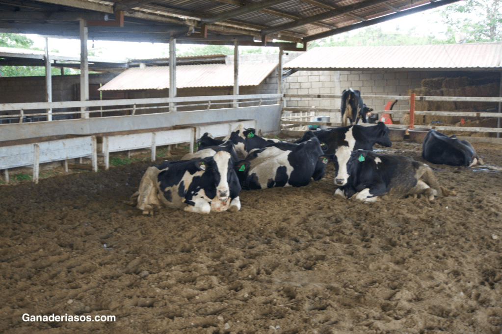LA SALA DE ESPERA&nbsp;DESESPERA