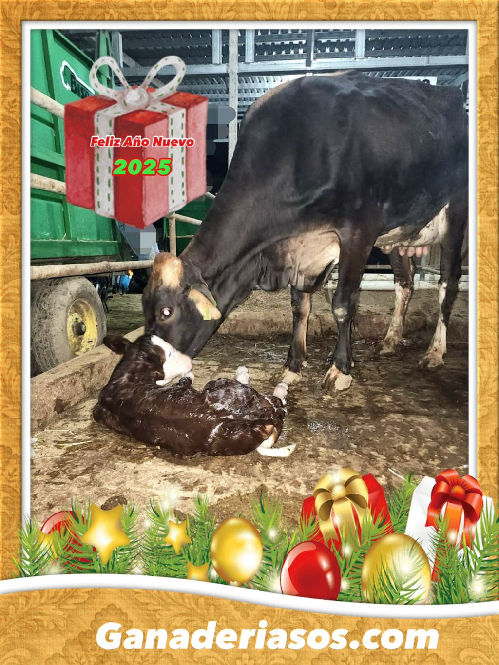 FELIZ AÑO NUEVO&nbsp;2025