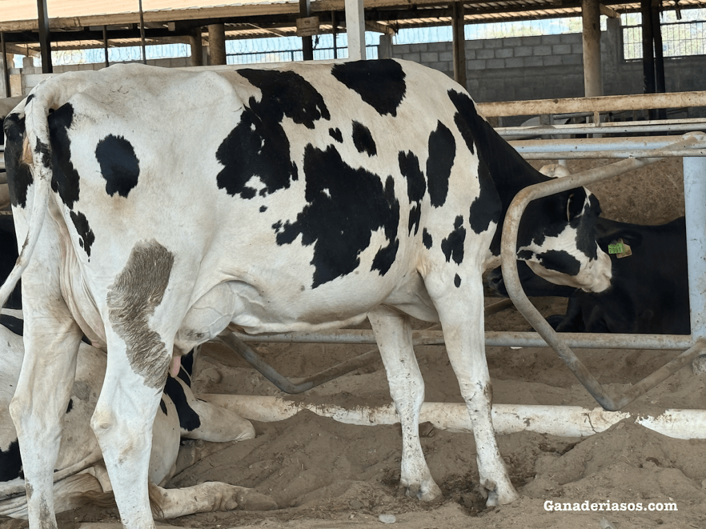 PRESENTANDO 305-AA: LA NUEVA MEDIDA ESTANDARIZADA DE&nbsp;RENDIMIENTO.