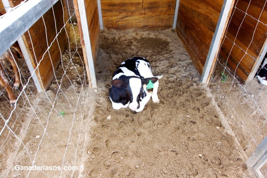 5 PUNTOS CRÍTICOS EN EL DISEÑO DE CUBICULOS