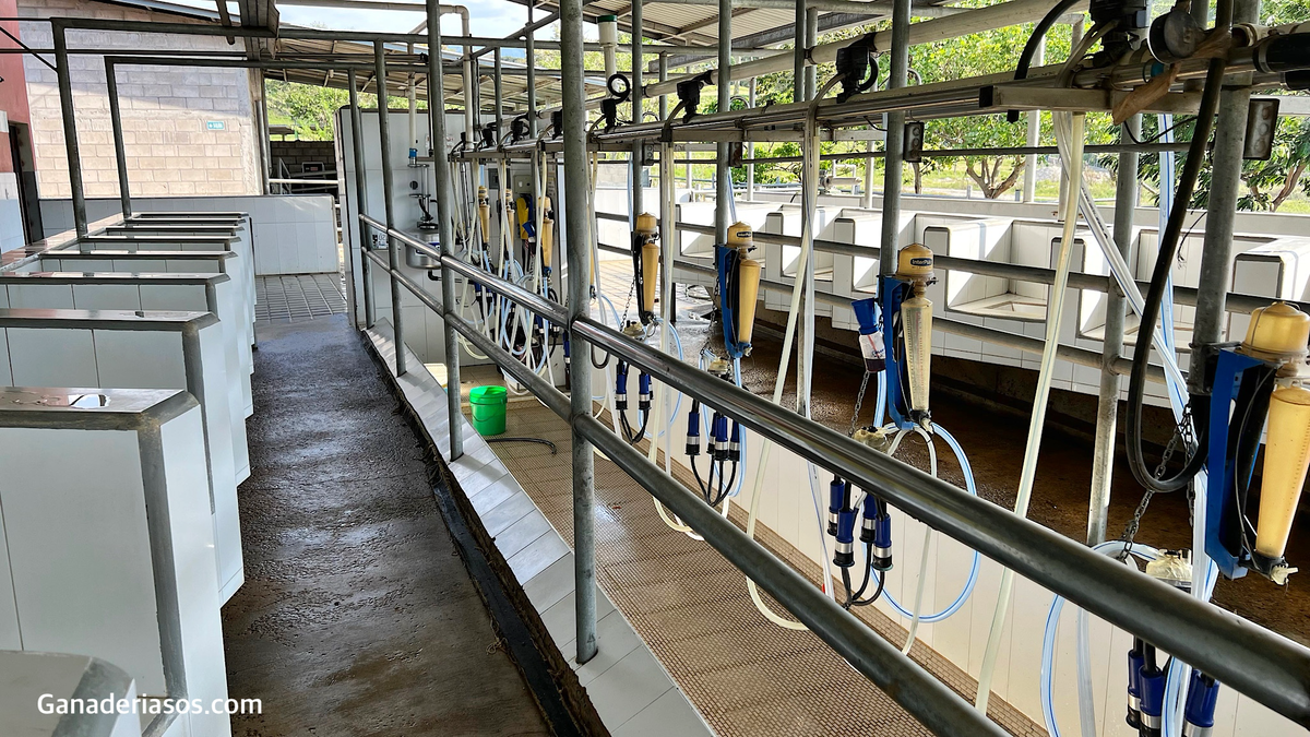 RECOMENDACIONES PARA REDUCIR LAS LESIONES DURANTE EL ORDEÑO