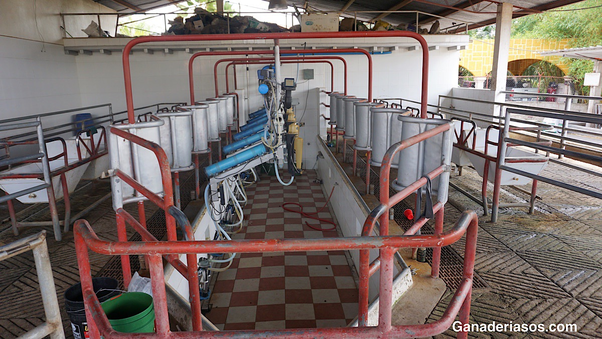 ASPECTOS A TENER EN CUENTA EN LA CONDUCCIÓN DE LA LECHE: CLAVES EN LA MÁQUINA DE ORDEÑO (III)