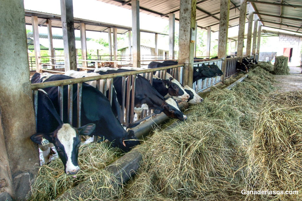 SALUD PREVENTIVA EN EL&nbsp;TAMBO