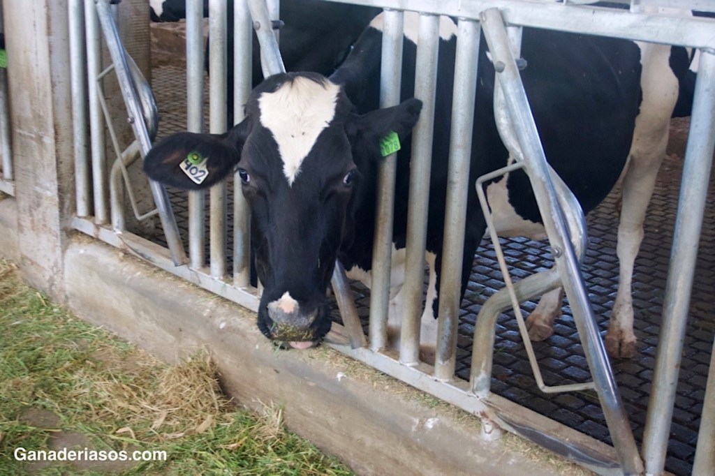 LA VERDAD SOBRE EL PERÍODO DE TRANSICIÓN