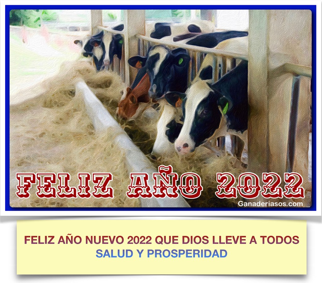 FELIZ AÑO NUEVO&nbsp;2022