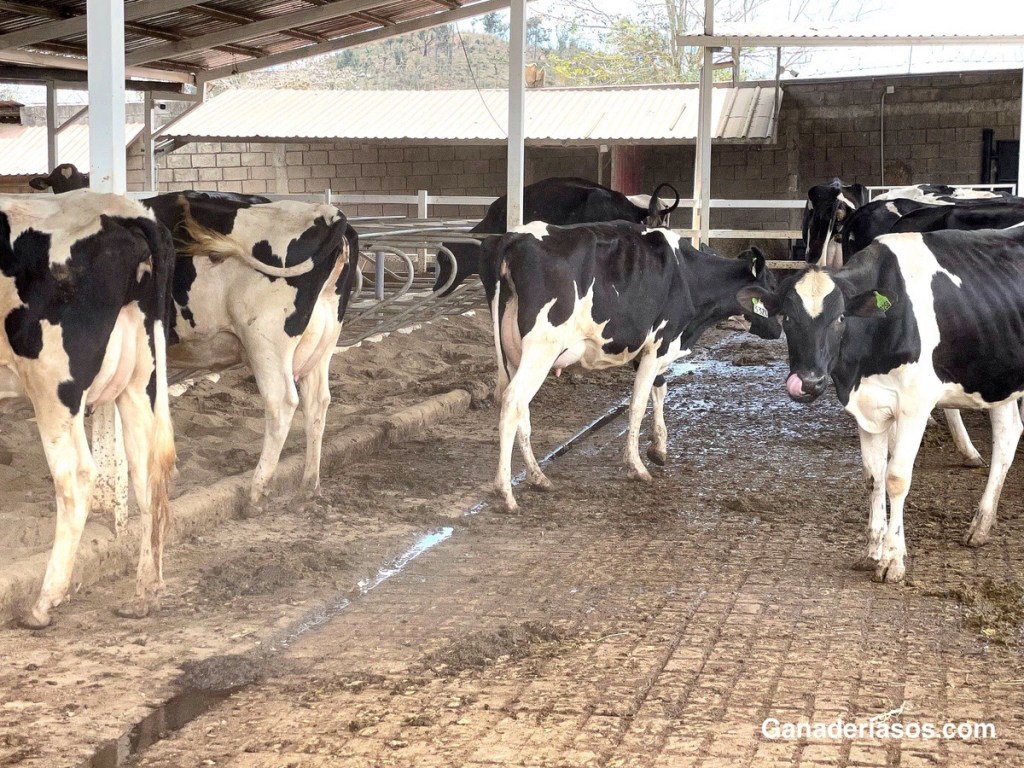 ANÁLISIS DE CAMPO USANDO EL&nbsp;RCSD