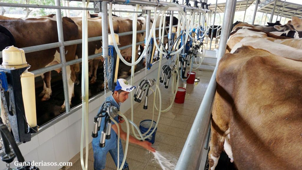 “LA LECHE Y LOS LÁCTEOS SON PARTE DE LA HISTORIA DE LA&nbsp;HUMANIDAD”